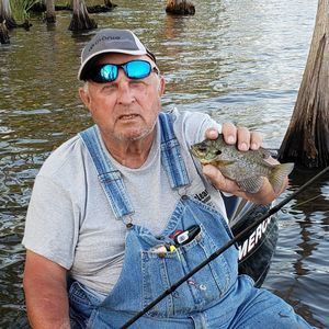 Meet your Posher, William